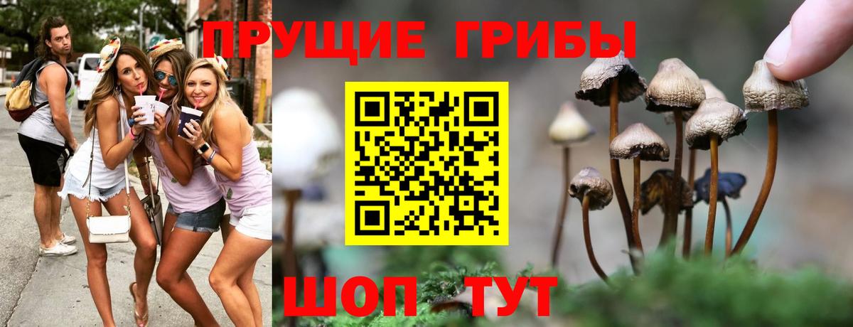 Псилоцибиновые грибы Cubensis  Вход с VPN  Карпинск 